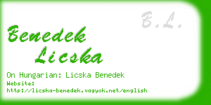 benedek licska business card